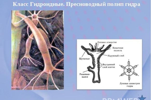Где брать ссылки на кракен